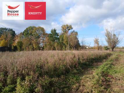 Działka na sprzedaż, 2102 m2, Raczki Elbląskie