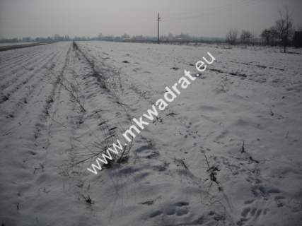 Działka inwestycyjna na sprzedaż, 3000 m2, Płochocin