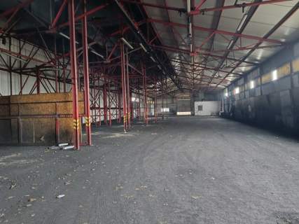 Hala, pomieszczenia magazynowe, plac - Czarnów