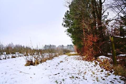 Działka pod Kazimierzem-16ar spokojna okolica 