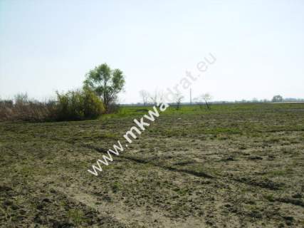 Działka budowlana na sprzedaż, 10000 m2, Nowy Drzewicz