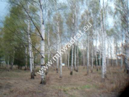 Działka budowlana na sprzedaż, 10030 m2, Słubica B
