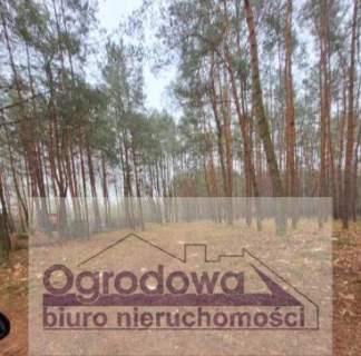 Działka budowlana pod lasem blisko rzeki