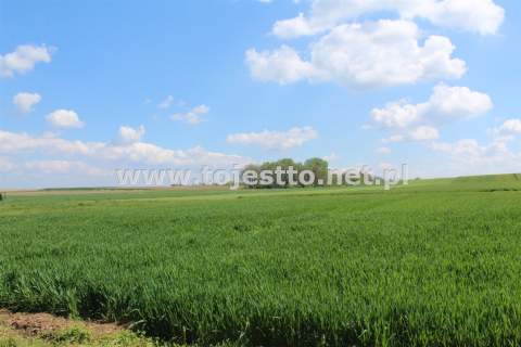 GRÓDEK, działka zabudowana 1700m2, dom budynki