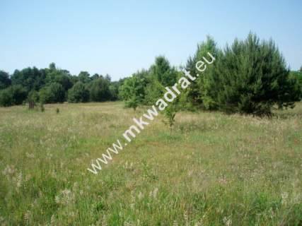Działka budowlana na sprzedaż, 3899 m2, Radziejowice-Parcel