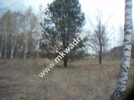Działka budowlana na sprzedaż, 10030 m2, Słubica B