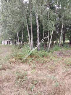 Działka, cicha, MPZP, Osowiec