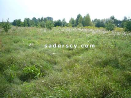 Działka budowlana na sprzedaż, 1000 m2, Władysławów