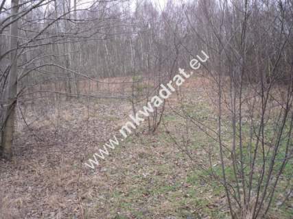 Działka budowlana na sprzedaż, 10900 m2, Stare Budy