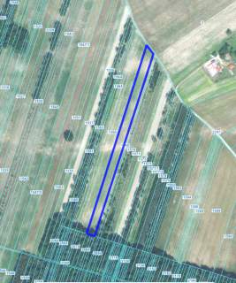 Działki rolne Sosnówka, gm. Abramów