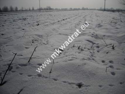 Działka inwestycyjna na sprzedaż, 5200 m2, Płochocin