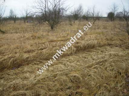 Działka inwestycyjna na sprzedaż, 5000 m2, Puszcza Mariańska