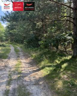 Działka pod zabudowę w Strzebielinie, blisko lasu