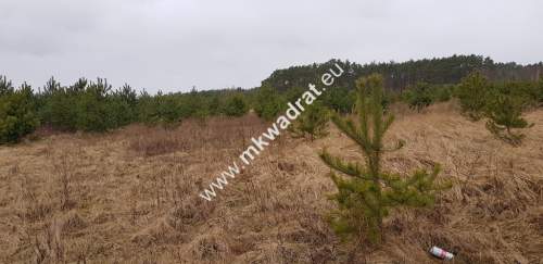 CIEKAWA OFERTA W NISKIEJ CENIE