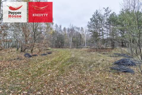 2 domy, staw, basen - inwestycja, agroturystyka