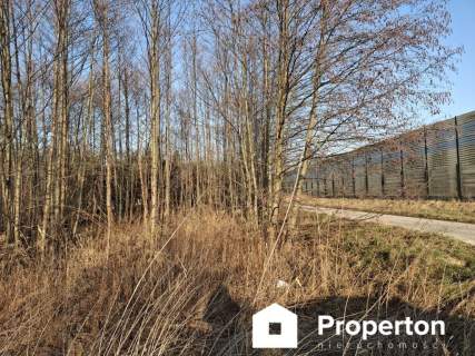 Działka inwestycyjna na sprzedaż, 8900 m2, Radziejowice-Parcel