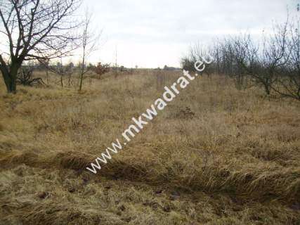 Działka inwestycyjna na sprzedaż, 5000 m2, Puszcza Mariańska