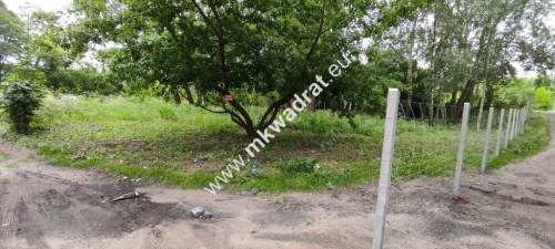 Osowiec gm. Żabia Wola 1653m2 narożna MPZP