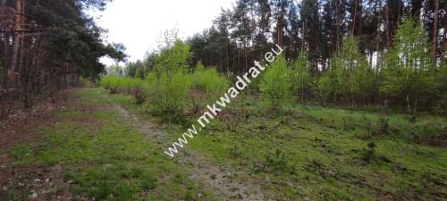 Piękna działka otoczona lasem, Czarny las 2497m2