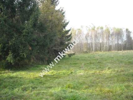 Działka budowlana na sprzedaż, 40500 m2, Budy-Grzybek