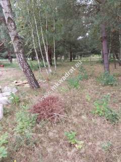 Działka, cicha, MPZP, Osowiec