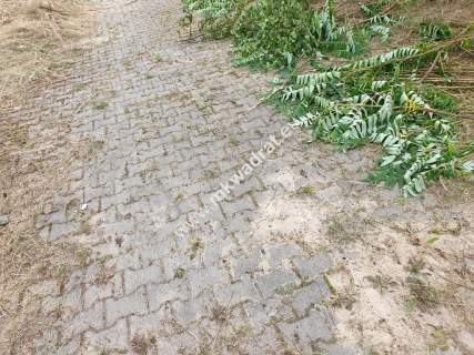 Obiekt na sprzedaż, 315 m2, Radziejowice-Parcel