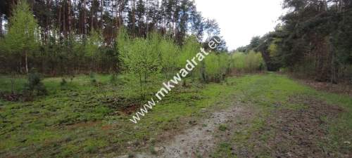 Piękne działki otoczone lasem Czarny las 11 813m2