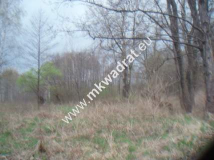 Działka budowlana na sprzedaż, 10030 m2, Słubica B