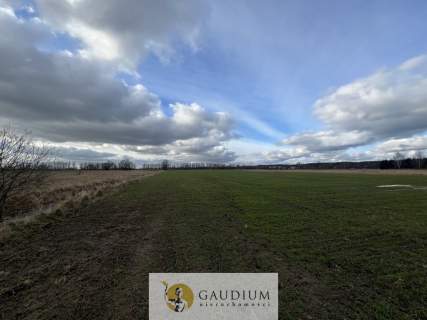 Działka 4600 m2 Sobieszewo ul. Uzdrowiskowa