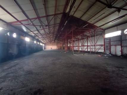 Hala, pomieszczenia magazynowe, plac - Czarnów