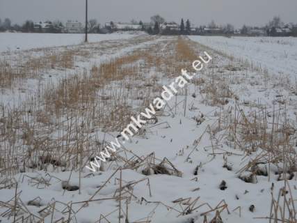 Działka inwestycyjna na sprzedaż, 6200 m2, Płochocin