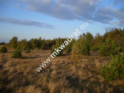 Działka budowlana na sprzedaż, 1100 m2, Teresin
