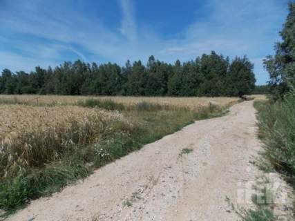 Działka rolna na sprzedaż, 67300 m2, Gurba