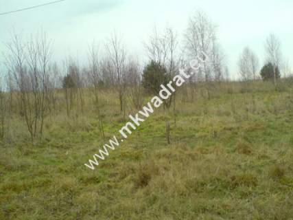 Działka rolna na sprzedaż, 18500 m2, Puszcza Mariańska