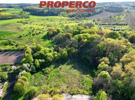 XVII-wieczny pałac, 300-letni park, działka 28ha