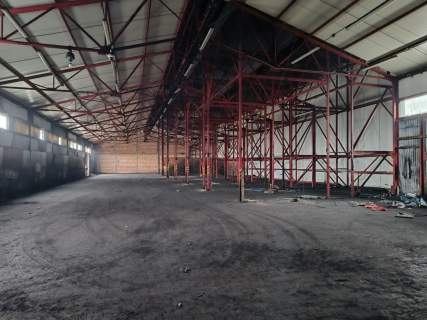 Hala, pomieszczenia magazynowe, plac - Czarnów