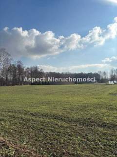 Działka budowlano-siedliskowa w Ochabach Wielkich