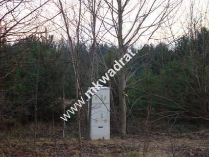 Zalesie działka 1243m2