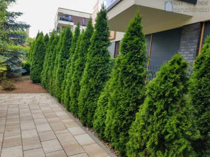 lokal/Nowe Wiśniowe/48 m2