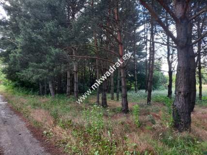 Urocza działka blisko WKD