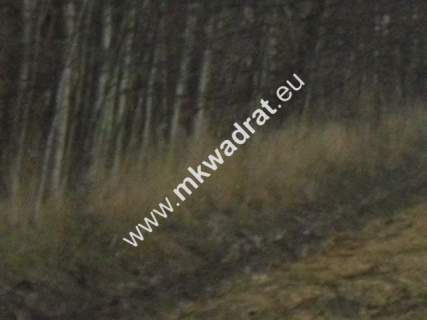 Pęcice działka w atrakcyjnym miejscu 10.500 m2