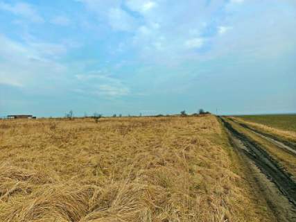 Sprzedaż działki budowlanej w okolicach Środy Śląskiej.