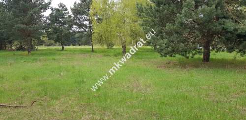 Działka 1352m2 w sąsiedztwie lasu Ojrzanów