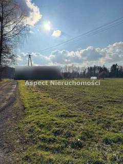 Działka budowlano-siedliskowa w Ochabach Wielkich