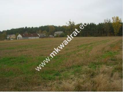 Działki Nowe Mistrzewice 1485m k/Sochaczewa