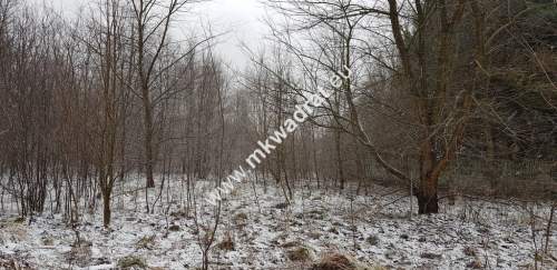 Działka z planem zagospodarowania