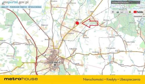 Pole uprawne- ziemia wysokiej klasy - Trzebnica