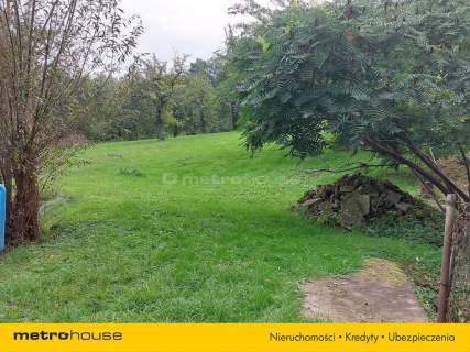 Przecławice - urocza działka na wzgórzach.