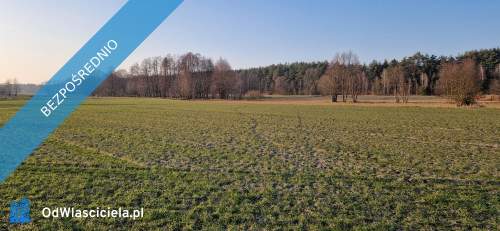 Sprzedam działkę budowlaną, Stara Wieś, gm. Rząśnik, powiat wyszk