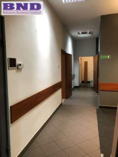 Gliwice centrum lokal o pow.218m2 czynsz 5500 VAT